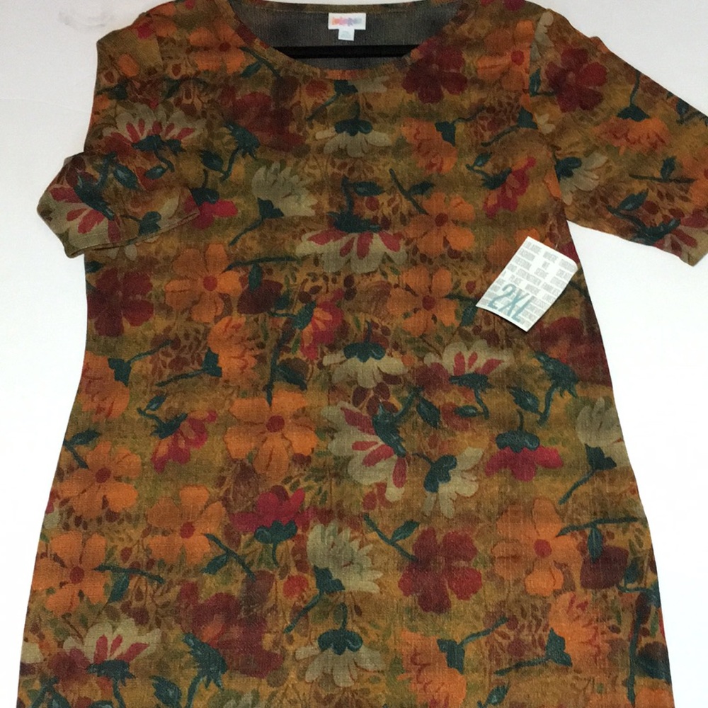 2XL Lularoe Julia Dress